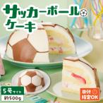 日時指定可 サッカーボールケーキ