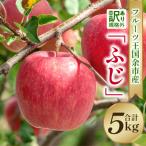 ふるさと納税 余市町 【2025年11月下旬より発送】フルーツ王国余市産訳あり「ふじ」5kg_Y074-0154
