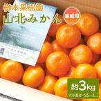 栁本果樹園の山北みかん 3kg