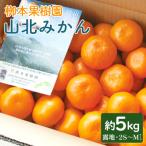 グリーンみかん 2S~Mサイズ 5kg