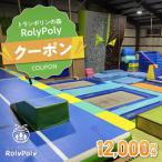 トランポリンの森 RolyPoly で使えるクーポン