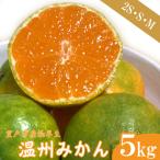 極早生温州みかん 5kg