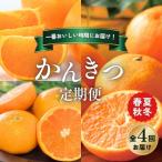 柑橘 定期便 石本果樹園