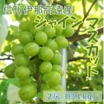 ふるさと納税 伊那市 信州伊那高遠産 シャインマスカット 2房 約1kg