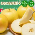ふるさと納税 平川市 年内発送 【訳あり】家庭用 トキ 約3kg【那由多のりんご園・平川市産】