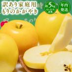 ふるさと納税 平川市 年内発送【訳あり】家庭用 もりのかがやき 約5kg【那由多のりんご園・平川市産・希少品種】