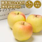 りんご 樹上完熟ぐんま名月約5kg
