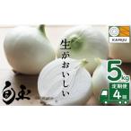 2027年発送 新玉ねぎ 食べ比べ定期便