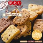 訳あり ヴィーガンクッキー3種 合計9個