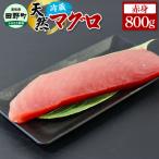 天然マグロ 赤身 800g