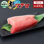 本まぐろ 中トロ 約400g
