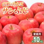 ふるさと納税 山形市 【家庭用】山形のりんご サンふじ 約10kg(20〜40個) FY25-830