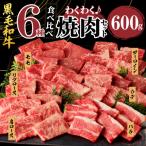 ふるさと納税 都農町 生産者応援≪訳あり≫黒毛和牛(経産牛)6種焼肉セット(合計600g) 肉 牛_T030-1203