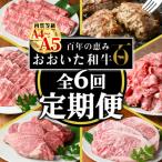 <定期便 全6回 連続 >おおいた和牛