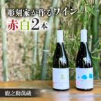 彫刻家がつくる赤白ワイン2種飲み比べ 2本