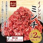 ふるさと納税 天城町 徳之島 天城町 イノシシ ミンチ 2kg 500g×4パック 猪肉 ジビエ