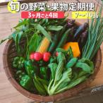 <年4回定期便> はちきんの店