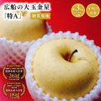 年明け 規格 広船の大玉金星約3kg 特A