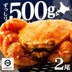 ふるさと納税 浜頓別町 ☆北海道産 毛ガニ 約500g×2尾 セット かに 蟹 毛蟹 冷凍 北海道産 浜頓別町