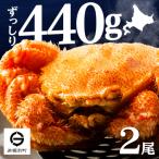 ふるさと納税 浜頓別町 ☆北海道産 毛ガニ 約440g×2尾 セット かに 蟹 毛蟹 冷凍 北海道産 浜頓別町