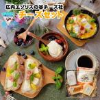 ふるさと納税 新得町 広内エゾリスの谷チーズ4点セット AE-1801