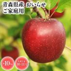 2025年産 10月 おいらせ10kg 【そと川りんご園