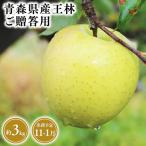 りんご 2026年産 1月~ 訳あり シナノゴールド3kg