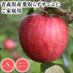 2026年産 用紅玉5kg