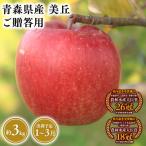2026年産11月~ 葉とらずサンふじ3kg