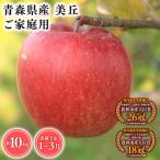 2026年産 11月~ 王林10kg