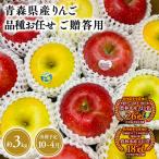 りんご 王林3kg