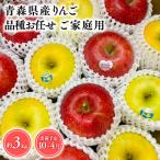 ふるさと納税 平川市 品種お任せ 【訳あり】家庭用 旬のりんご詰め合わせ3kg