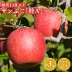 ふるさと納税 平川市 2月 サンふじりんご「特A」約3kg 糖度13度以上 【森山商店・平川市産・青森りんご・2月】
