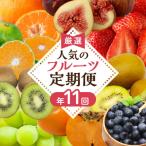 ふるさと納税 宗像市 【定期便/年11回】JAむなかた厳選!旬のフルーツ定期便【JAほたるの里】_HB0171