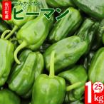 < >事前受付中 <ピーマン>1kg