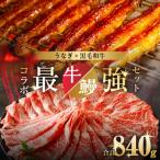 ふるさと納税 都農町 ≪数量限定≫うなぎ×黒毛和牛(経産牛) 都農町最強セットD 肉 牛肉 おかず_T030-132-02