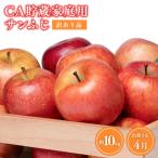 ふるさと納税 平川市 4月 訳ありCA貯蔵 サンふじ 約10kg