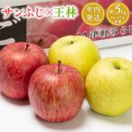 ふるさと納税 平川市 年内 サンふじ×王林約5kg 【JA津軽みらい・平川市産・青森りんご・12月】