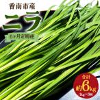 ニラ 1kg