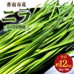 ニラ 2kg