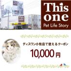 ディスワン小牧店で使えるクーポン券 10,000