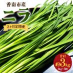 生産量日本一のニラ 1kg
