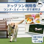 ドッグラン利用券 ランチ スイーツ 付き 1頭1回分