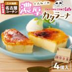 ふるさと納税 小牧市 くんねこ濃厚カタラ