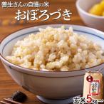 令和5年産 100%自家生産玄米 善生さんの自慢の米