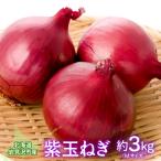 fu.... налог скала видеть . город Hokkaido скала видеть . город производство фиолетовый шар лук порей 20 шт 