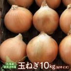 fu.... налог скала видеть . город Hokkaido скала видеть . город производство шар лук порей M размер 10kg