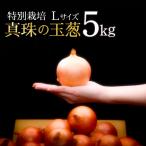 fu.... налог скала видеть . город жемчуг. лук специальный культивирование L размер 5kg{ море. минерал .... специальный культивирование лук } a134-001