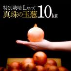 真珠の玉葱 L~L大サイズ 10kg