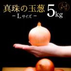 fu.... налог скала видеть . город жемчуг. лук L размер 5kg{ море. минерал .... лук }